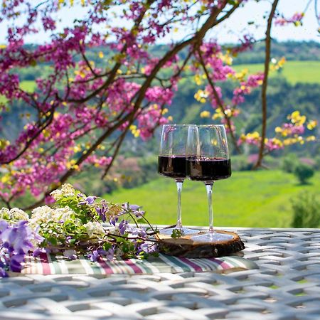I Sicomori - Seme Di Carota - Glamping E Appartamenti Con Piscina A Saturnia Buitenkant foto