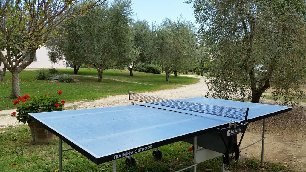 I Sicomori - Seme Di Carota - Glamping E Appartamenti Con Piscina A Saturnia Buitenkant foto